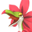 Tropicaw